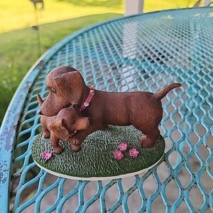 My Darling Little Dachshund You Bring Sweetness To My Life 0027 2011